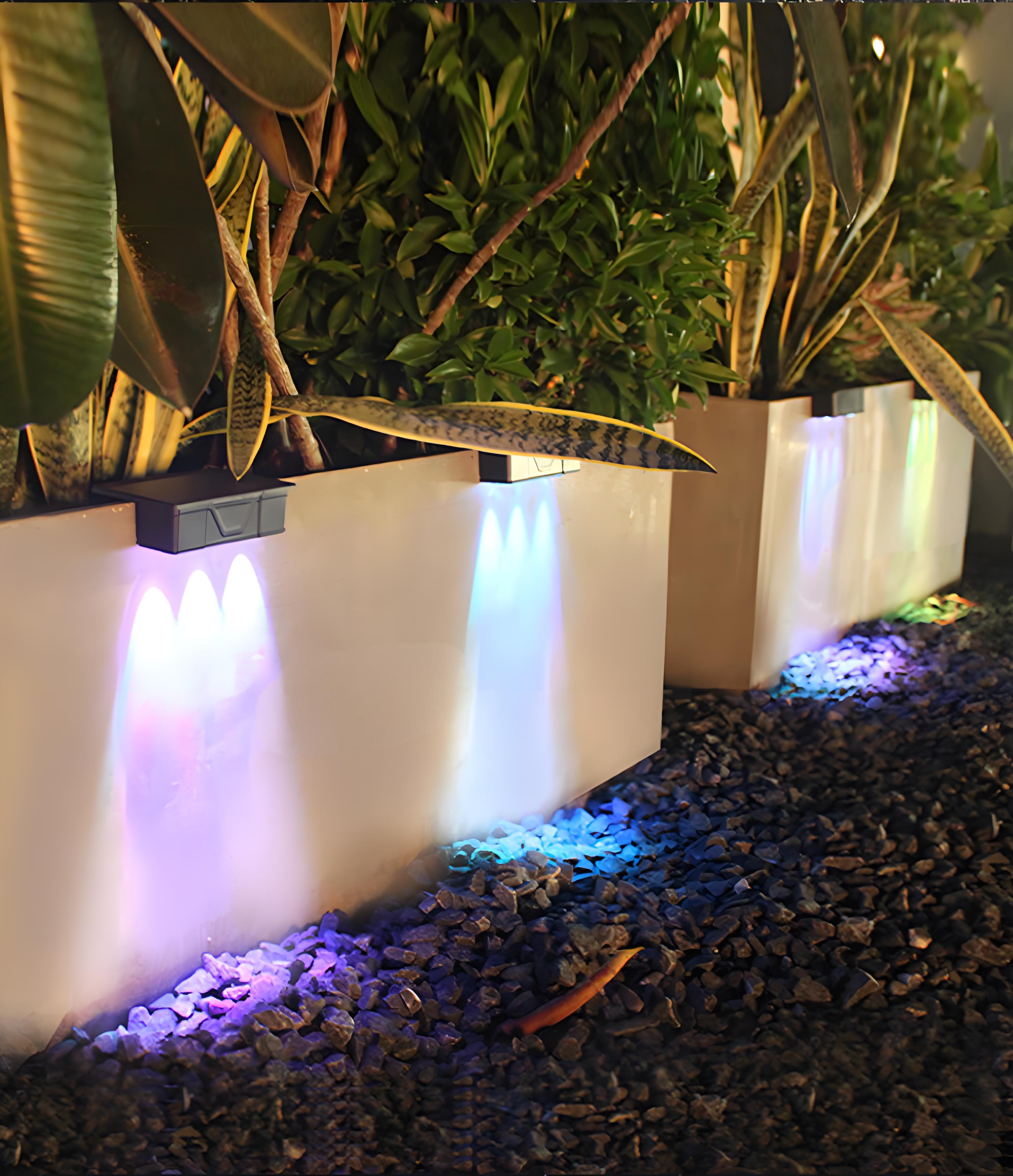 Transform Your Outdoor Space with Quntis’ Gorgeous New Solar Lights!