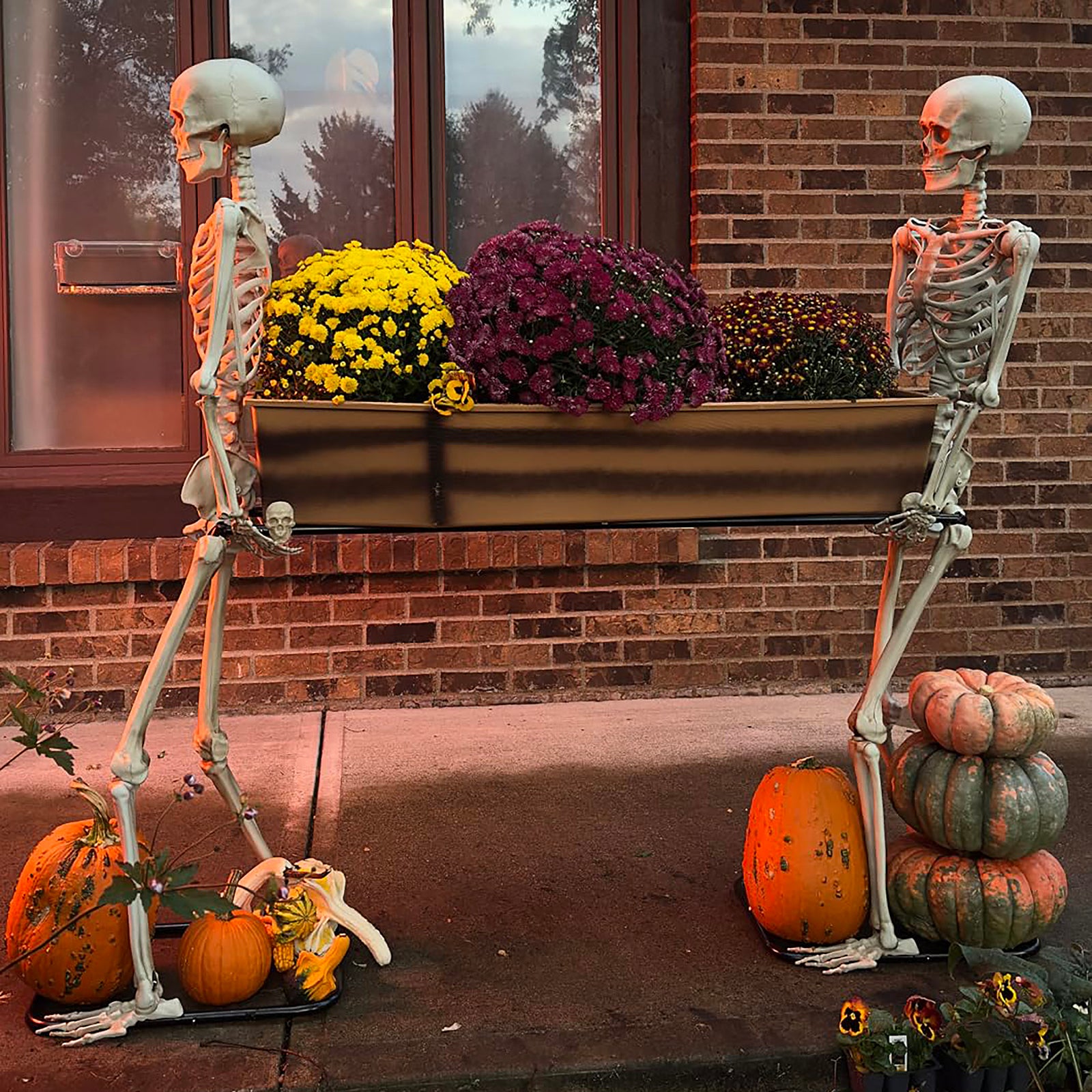 Quntis Halloween Outdoor Party Decoration - 5ft Skeleton Carrying Coffin [Last for Seasons] - Realistic Life Size Undead Pallbearers Set Drink Cooler - Spooky Graveyard Halloween Display