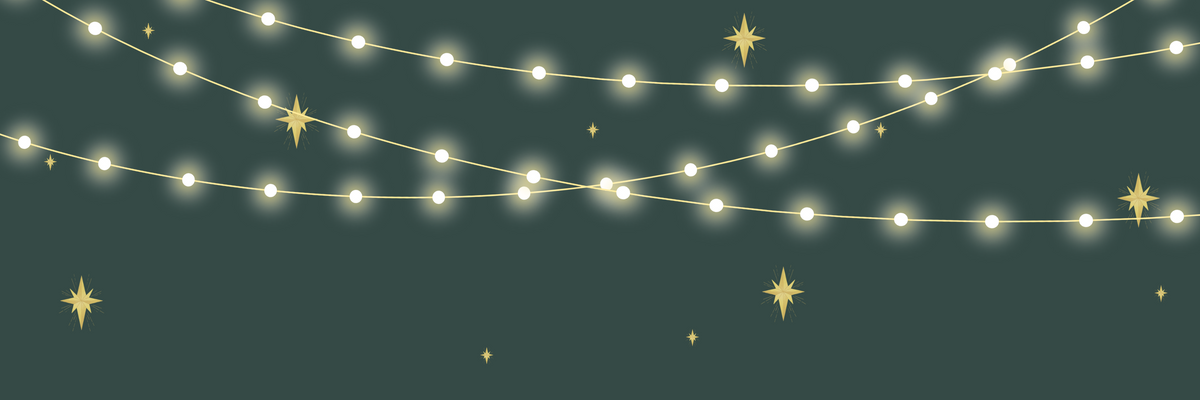 XMAS LED Waterproof String Lights