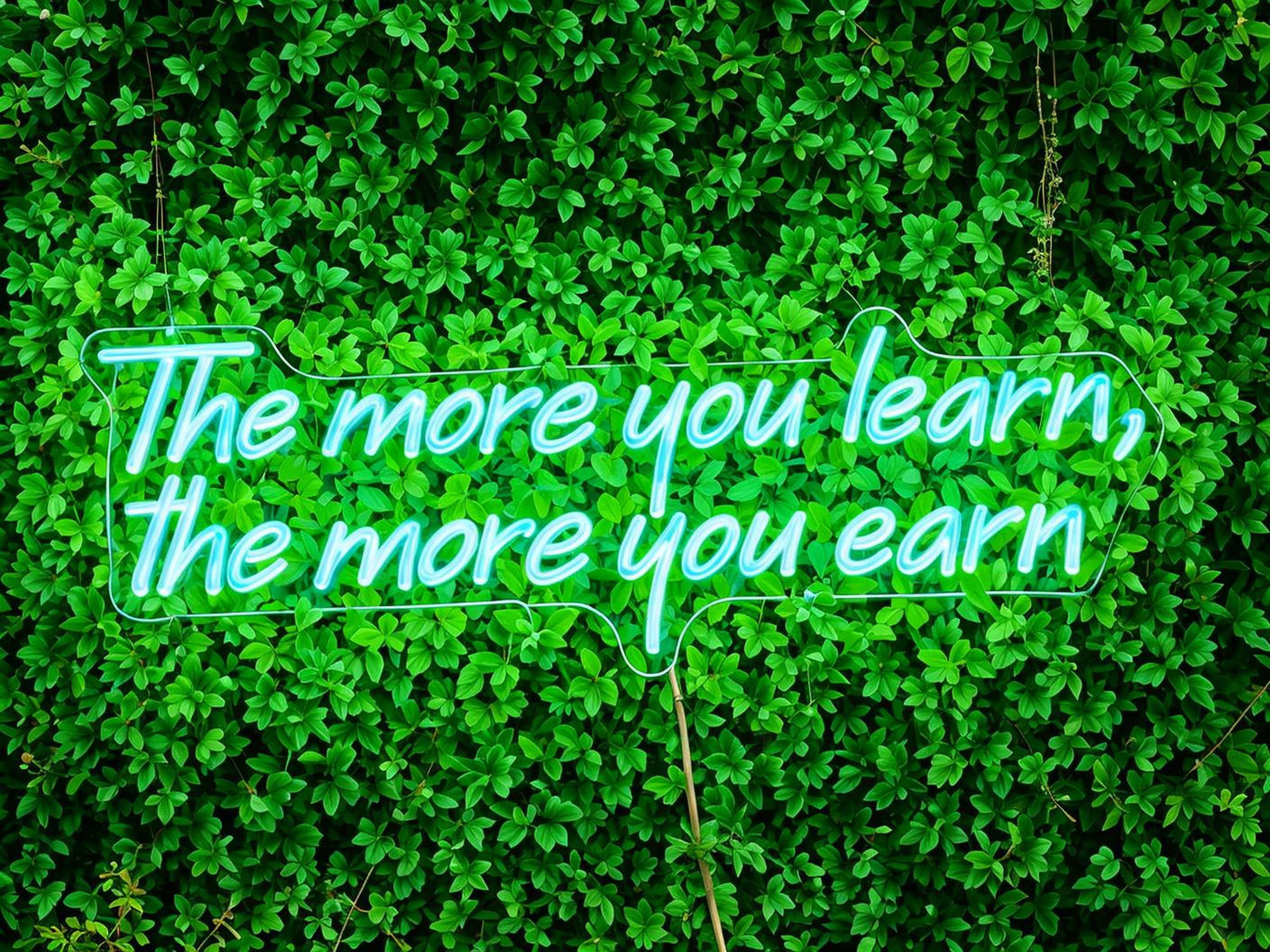"The More You Learn, The More You Earn" LED Neon Sign – Inspirational Wall Art & Custom Home Decor